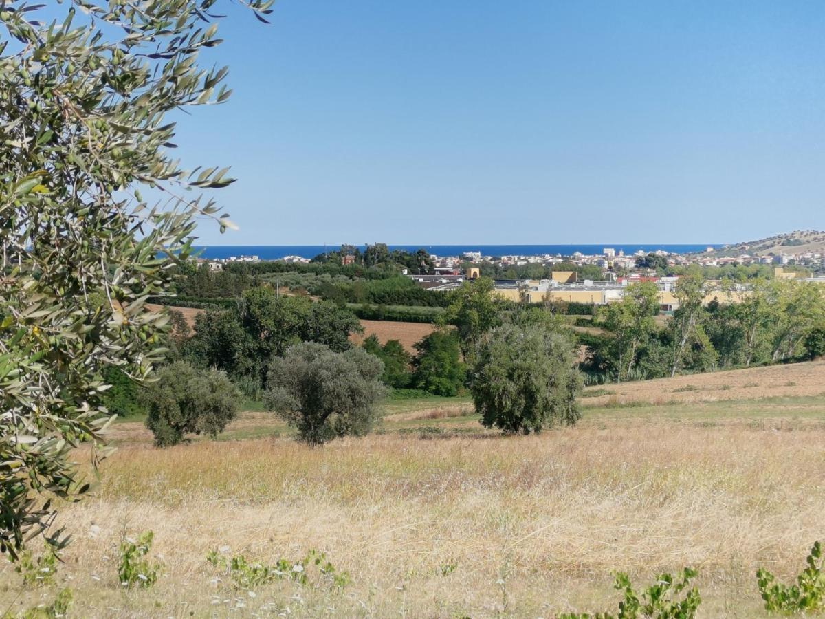 Residence Il Villaggio Del Re 克若伯里 外观 照片